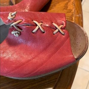 Chewed cliff dweller